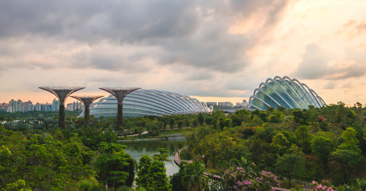 Singapore Supertrees